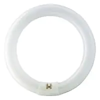 Osram T9 Lumilux Circline 32W - 840 Cool White | 30cm
