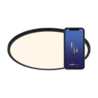 Nordlux Oja Smart 29 Ceiling Light Metal Black 15W 1600lm - 827-865 Tunable White | 294mm - Wifi and Bluetooth Dimmable