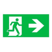 Ecolight Europrisma Pictoplate | Pictogram Right